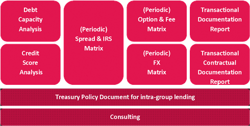 Treasure Transfer Pricing